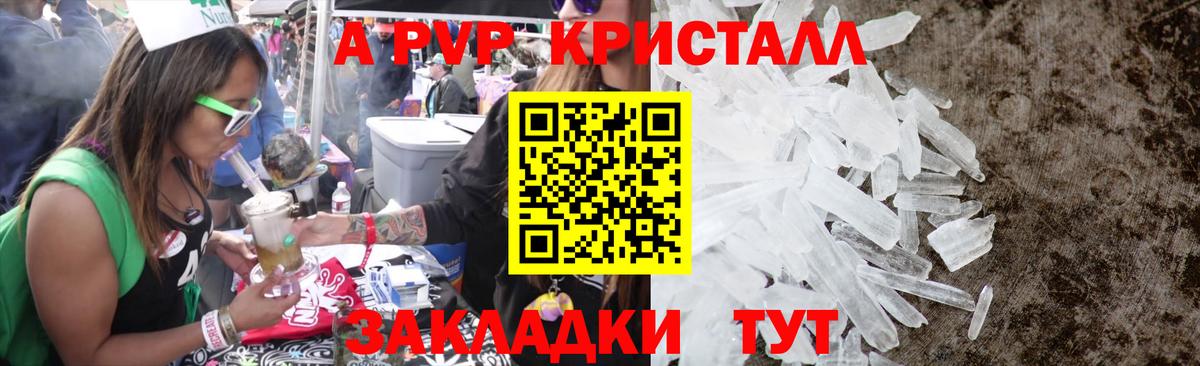 Альфа ПВП СК Малгобек