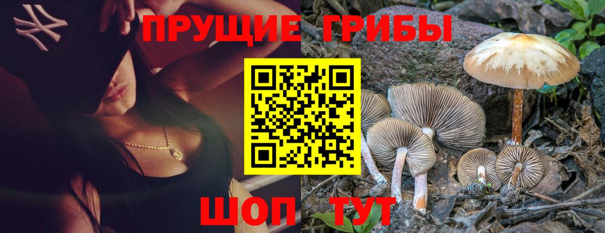 Галлюциногенные грибы мицелий Малгобек