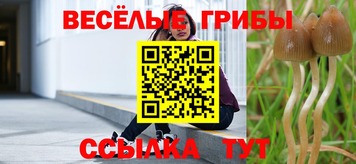 Галлюциногенные грибы Psilocybine cubensis  Галлюциногенные грибы MAGIC MUSHROOMS  Вход с VPN  Малгобек 